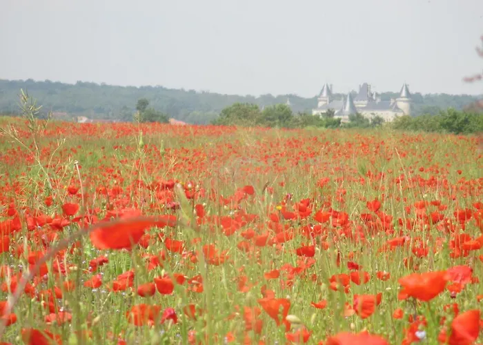 Сasa de vacaciones Rue Des Douves *